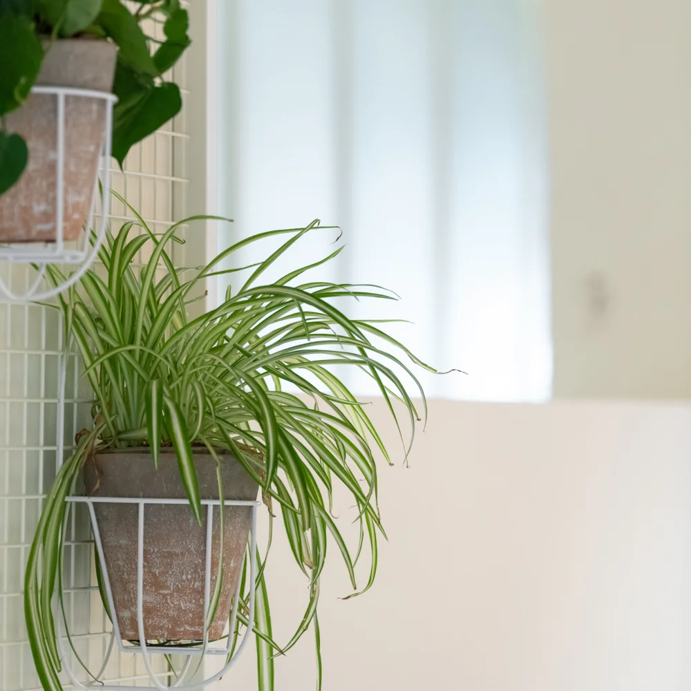 Kantoorinrichting Antwerpen Quality Living 31