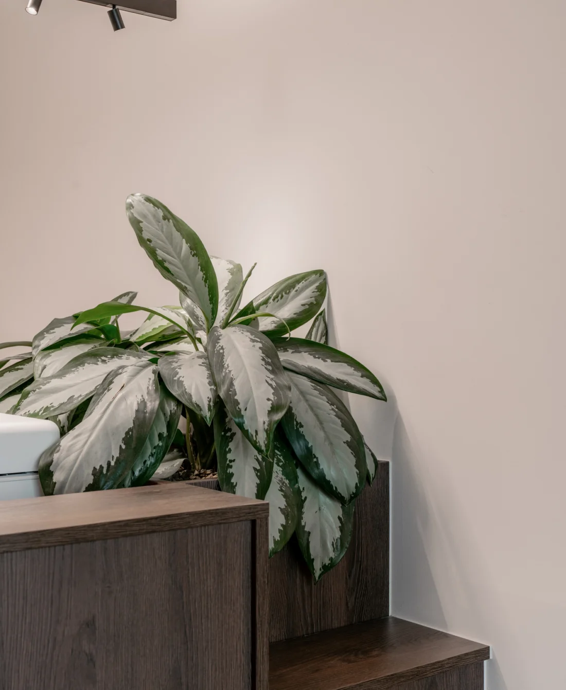 Dermatologisch centrum inrichting Schilde Quality Living 8