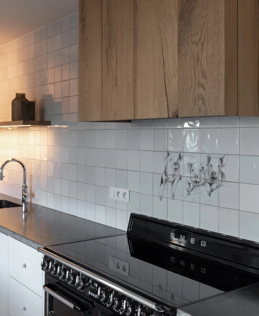 Studiovision qualityliving 201105 laakdal dasivet LR 149 SV5 6262