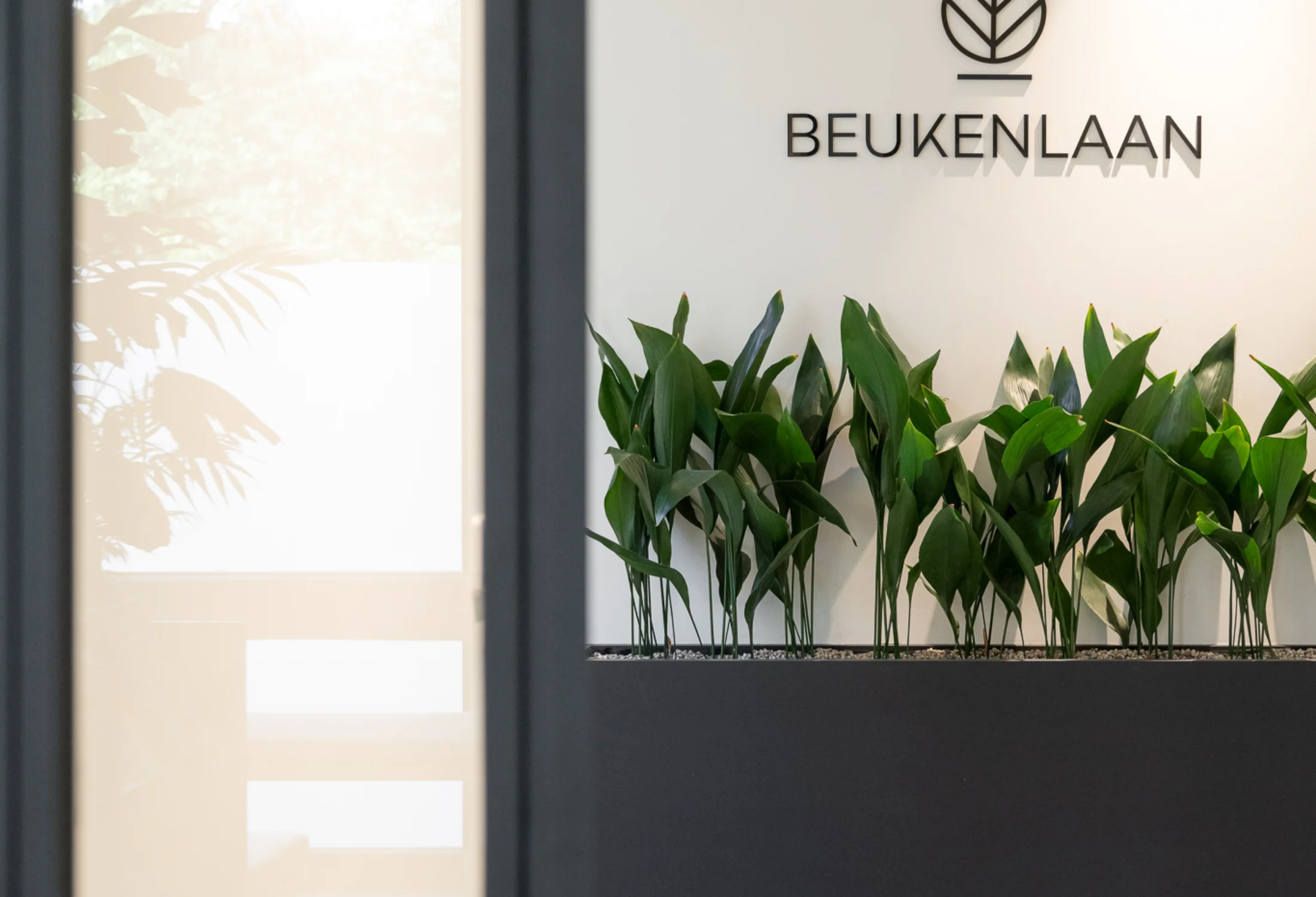 Dokterspraktijk inrichting Boom Quality Living 12