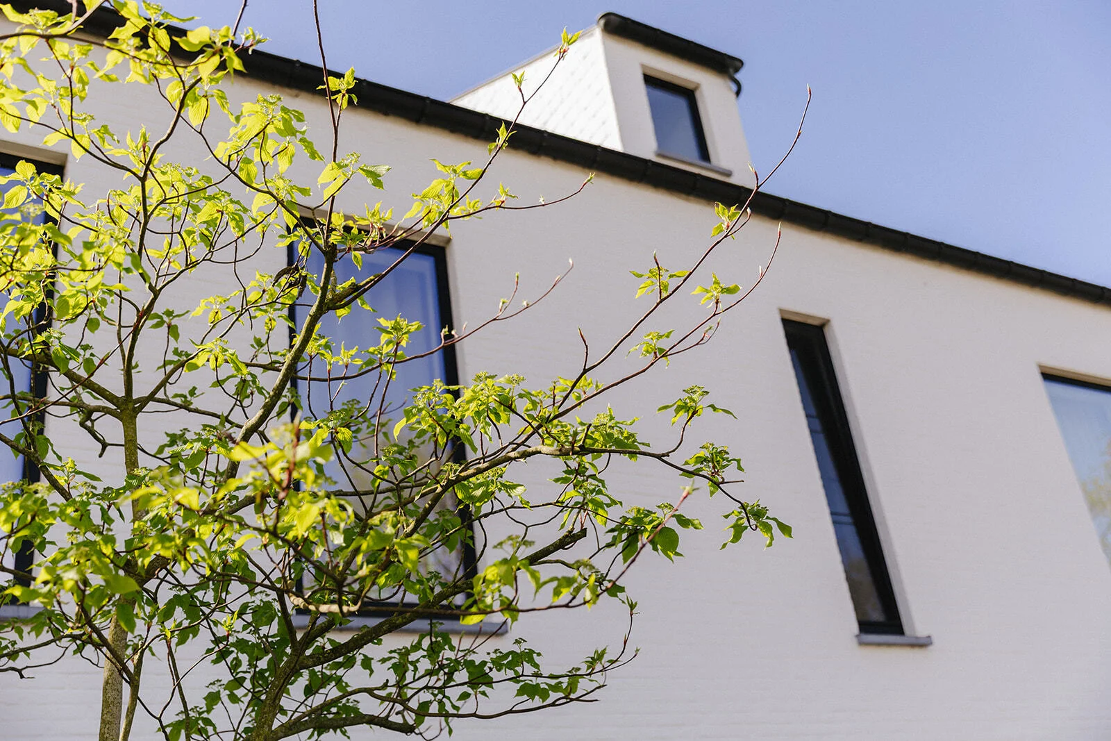 QUALITYLIVING BUROBONITO 146